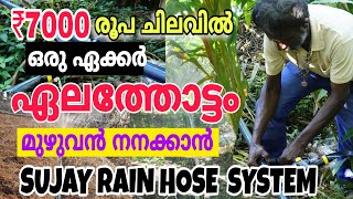 ഏലം കൃഷി | പാട്ടത്തിനെടുത്ത പറമ്പിലും ചുരുങ്ങിയ ചിലവിൽ നനക്കാൻ | Sujay Rain Hose System