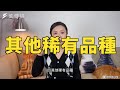 軟萌折耳貓竟都有基因缺陷！ 職業貓奴：新手千萬別養這些