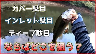 【オカッパリ】夏の夕暮れ、野池に立って何も起こらないはずはなく…【回遊系】