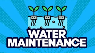 Water Maintenance Pro-Tips [Beginner Hydroponics]