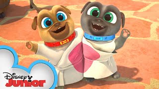 Bob and Ana's Wedding 💕 | Compilation | Puppy Dog Pals | @disneyjr