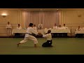 excellent aikido demonstration