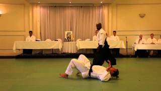 Excellent Aikido Demonstration