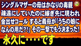 スカッとする話　シングルマザーの母はかなりの毒親 疎遠にしていたのに嫁ぎ先に現われ金出せコール すると義母が｢うちの娘になんの用だ？！｣その一撃でもう決まった！