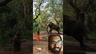 പാപ്പാന്റെയും ആനയുടെയും ആ സ്നേഹം കണ്ടോ 🥰🥰 #trending #viral #likes #subscribe #funny #malayalam