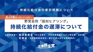 2020年6月18日 野党合同国対ヒアリング「持続化給付金の遅滞について」