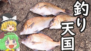 【海上釣堀】緑みょん妖夢　篠島『釣り天国』へ行く【ゆっくり実況、ゆっくり料理】＃18