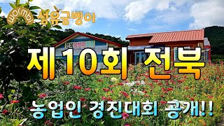 제10회 전라북도 농업인 정보화 경진대회 블로그 포스팅 참가했어요