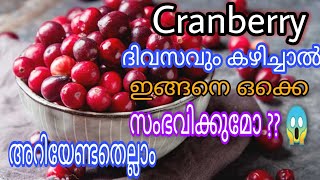 കാൻബെറി അറിയേണ്ടതെല്ലാം | Health Benefits of Cranberries and how to use it