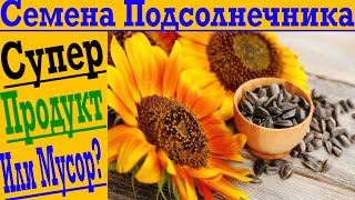 Семена подсолнечника! Здоровый продукт или страшный вред!? Стоит ли оставлять Семечки в рационе?