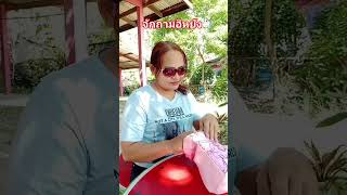 ถามได้บ่ #พอลล่าสายฮา #ลิปซิงค์ #ตลก #ขำๆ #ฮาๆ  #funny #comedy #shortvideo #shorts #short #video