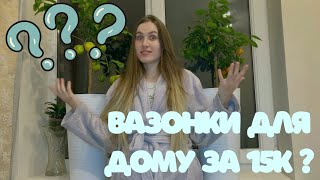 “Накупила вазонів на 15 000 гривень! 🌿 Оновлення інтер’єру та мої рослинні скарби