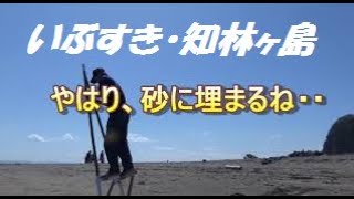 鹿児島弁オヤジの竹馬チャレンジ(知林ヶ島編1)