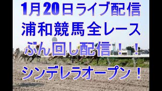 浦和競馬ライブ　メインレースシンデレラオープン