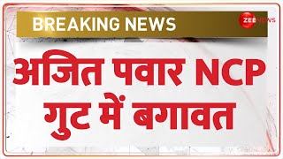 Breaking News: अजित पवार गुट में बगावत | NCP Ajit Pawar Faction | Maharashtra Election | SC | Revolt