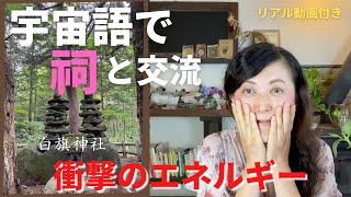 【閲覧注意】神社と宇宙語で繋がってみたら、衝撃の宇宙語を喋ってしまう・・・。 八ヶ岳 白旗神社 ツインレイ 夫婦の神様ごと ライトランゲージ