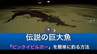 [FF15] 簡単攻略 伝説の巨大魚ピンクイビルガー