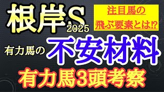 【根岸ステークス2025】有力馬考察！フリームファクシやサンライズフレイム、コスタノヴァらの不安材料は何なのか？1頭ずつ考察！