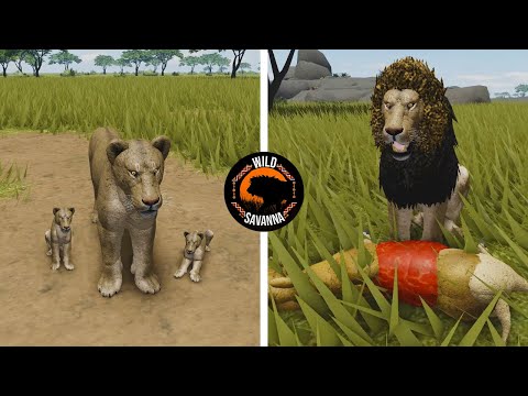 Baby Lion to Adult Lion Adventure! Wild Savannah