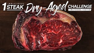1 Single DRY AGE Steak CHALLENGE | Guga Foods