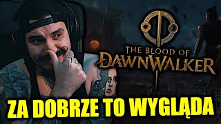 Poważna ANALIZA Trailera The Blood of Dawnwalker