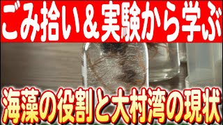 【大村湾調査隊】子どもたちが海藻の仕組みと役割を大調査！ 地球環境とのつながりを学ぶ　日本財団 海と日本PROJECT in ながさき 2024 #22