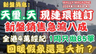 天璽天開始出現連環撻訂，不足一月連環四撻訂！新盤成交急跌八成｜樓市回暖假象？或是夭折？