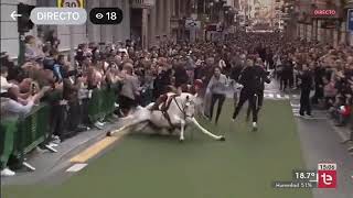 Caída Cantó - Venida de la Virgen 28/12/2022 Elche