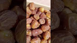 shukriya galaxy best dates#abdul (2)