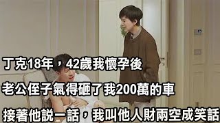 丁克18年，42歲我懷孕後，老公侄子氣得砸了我200萬的車，接著他說出一話，我叫他人財兩空成笑話