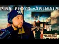 FIRST TIME Hearing PINK FLOYD- Animals (Full Album) REACTION!!!