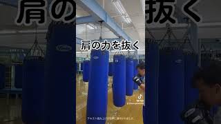 ボディ打ちのポイント #格闘技 #boxing #ボクシング #打ち方