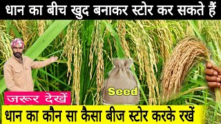 धान का बीज किसान घर पर तैयार कर सकते हैं बीज कैसा बनाना चाहिए Paddy Seed Collecting dhaan ka biij