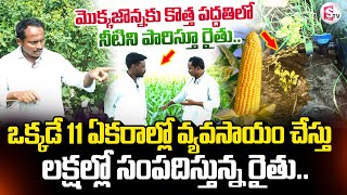 Maize Cultivation Tips And Investment Guide | Mokka Zonna Sagu | Telugu Farming Tips | SumanTV