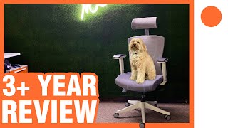 3+ Year Review - Autonomous Ergo Chair 2 - How has it held up?