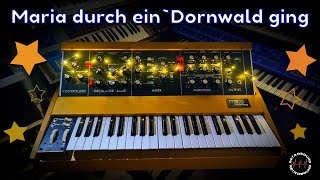 Maria durch ein Dornwald ging ⭐ Moog Synthesizer