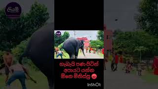 පණ පිටින් අපායෙ යවන්න ඕනෙ මිනිස් වෙසින් ආ තිරිසනුන්.....😖💔😔