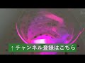 真空実験「超高輝度ライト」vacuum experiment “super bright light“