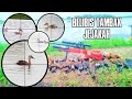 BERBURU BELIBIS MERAH DITAMBAK //JARAK JAUH DEKAT SIKAT ‼️