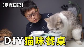 【罗宾日记】DIY猫咪餐桌，我的普通话