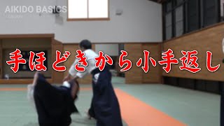 手ほどきから小手返し（合気道自由稽古）