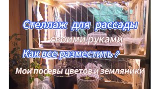 как обустроить место для рассады без окна!?🤔Своими руками/ Первые посевы цветов и земляники🌸🍓