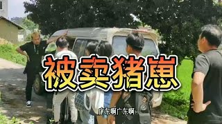 真实故事演绎：卖猪仔，提醒大家出门在外一定要保管好钱财 #农村剧情  #社会百态