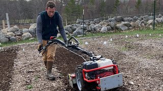 Prepping our no-till #marketgarden with a BCS tractor and Power Harrow