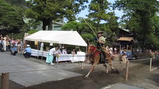 鶴岡八幡宮例祭 流鏑馬神事 騎射挟物 参 平成30年9月16日 伍番手