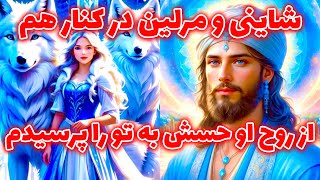 شاینی و مرلین در کنار هم - از روح او حسش به تو را پرسیدم @merlintarott