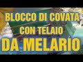 Apicoltura CD: Blocco di covata con telaio da melario