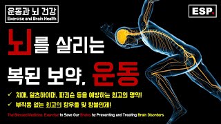 우리 뇌를 살리는 복된 보약, 운동┃운동과 뇌 건강┃운동과 정신 건강┃운동과 신경시스템┃ESP ♥