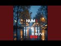 NUMb