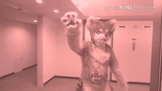 【もふ×エレ At:4-8】JMoF2018